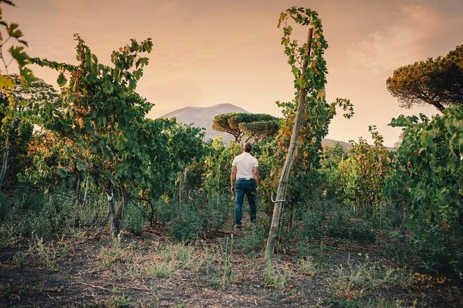 private-natural-wine-tasting-tour-lunch-sommelier-and-transfer