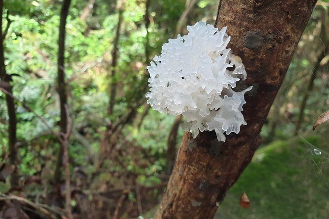 Private Nature Tours & Trail 1 to 5 persons - Key Points