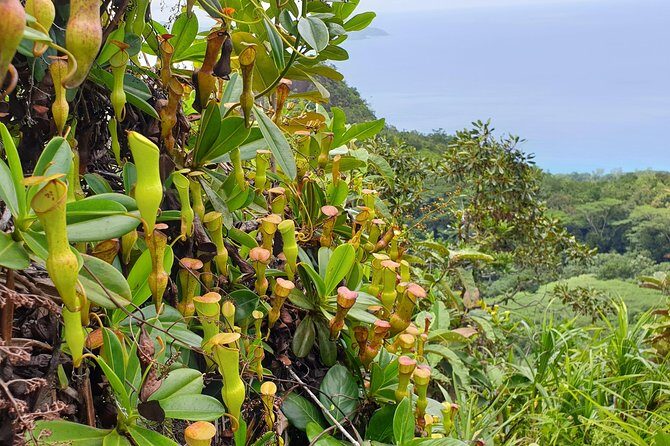 Private Nature Tours & Trail 1 to 5 persons - Frequently Asked Questions