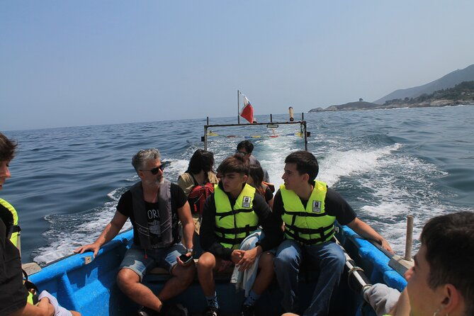 private-nautical-tour-penguin-island-cachagua-valparaiso
