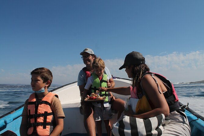 private-nautical-tour-penguin-island-cachagua-valparaiso