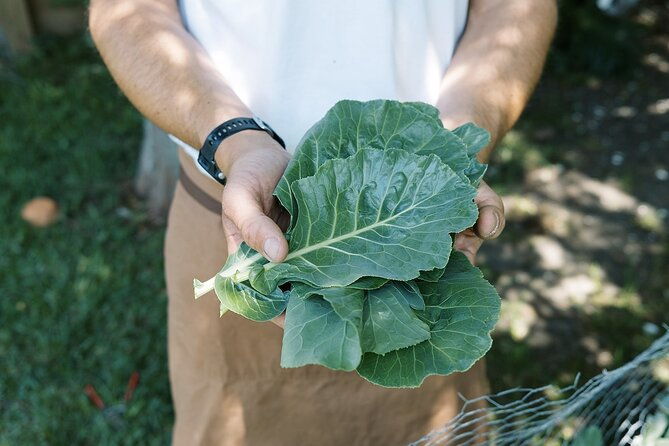 private-new-orleans-cajun-cooking-class-with-a-local-courtland