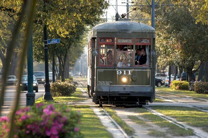 Private New Orleans City Tour with Local Expert Guide - Who Will Love This Tour?