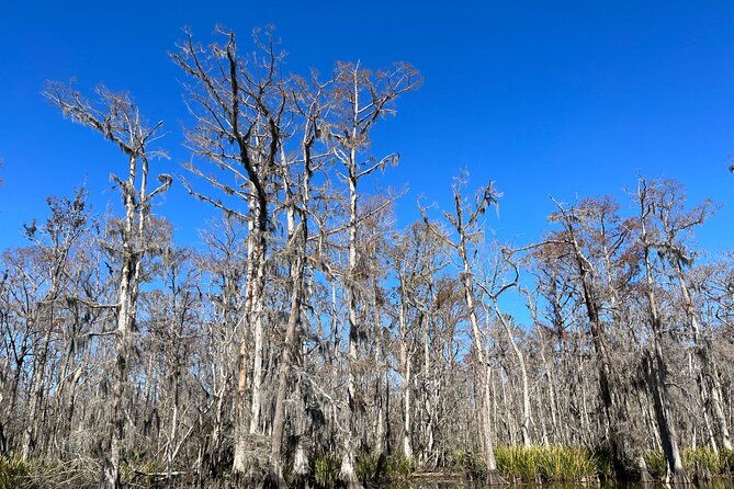 private-new-orleans-neighborhood-food-tour-historic-driving-dine-around