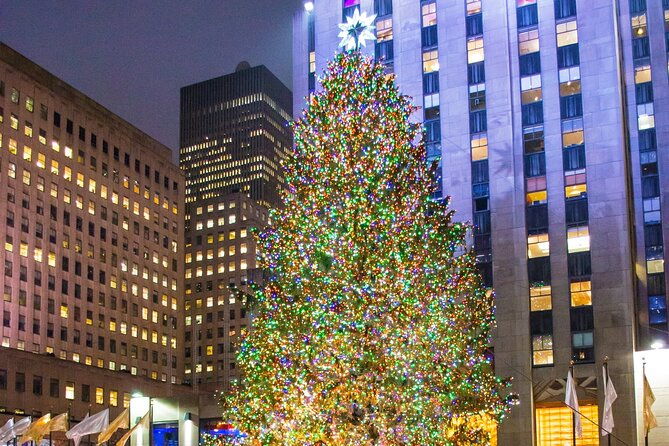 private-new-york-christmas-tour-with-driver-and-guide