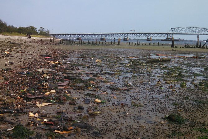 private-new-york-city-sightseeing-bike-tour-up-to-6-people