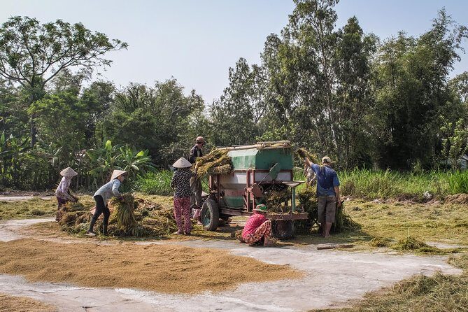 Private Nha Trang Day Tour From Nha Trang Port - Shore Excursion - Is This Tour Worth It?