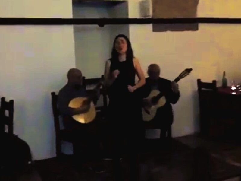 private-night-tour-authentic-fado-show-portuguese-dinner