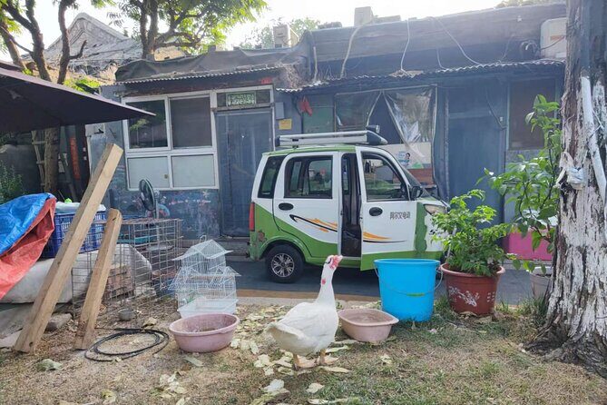 Private Night Walking Tour in Qianmen Street and Tiananmen Square - Transportation & Logistics