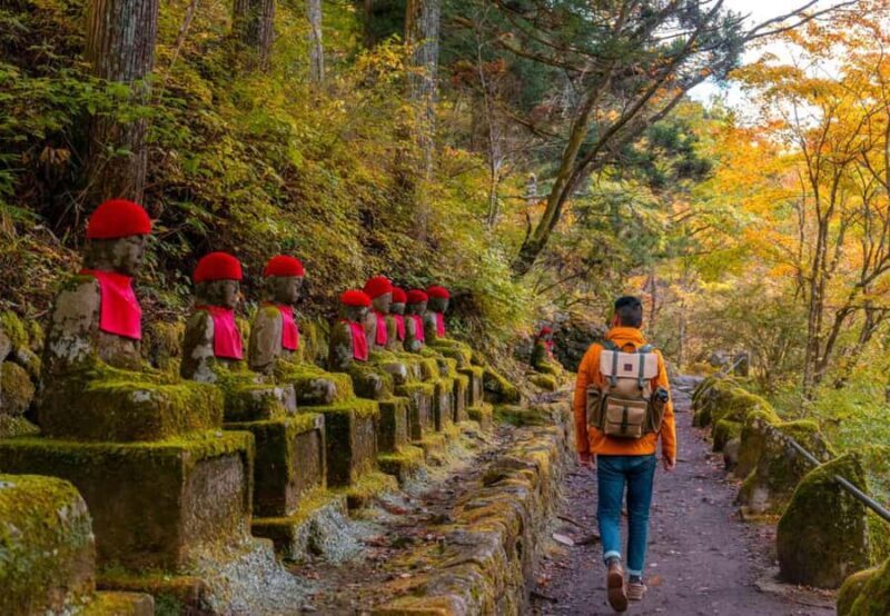 Private Nikko Day Trip from Tokyo  UNESCO Shrines & Nature - Key Points