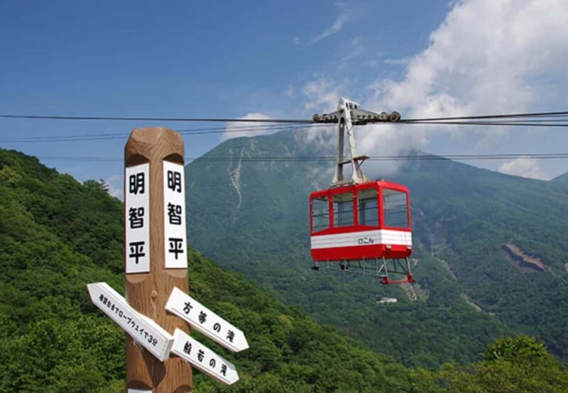 Private Nikko Day Trip from Tokyo  UNESCO Shrines & Nature - An In-Depth Look at the Itinerary