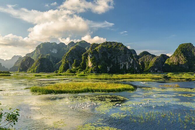 Private Ninh Binh Day Tour Mua Cave and Van Long Nature Reserve - A Deep Dive into the Itinerary