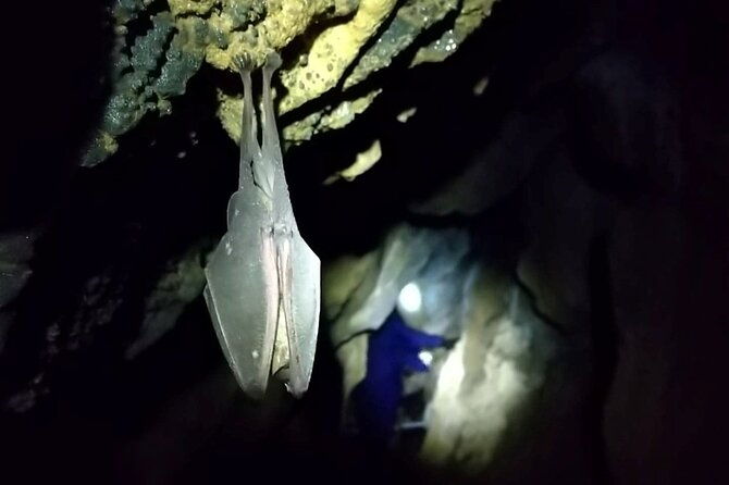 private-ninja-training-in-a-cave-in-hidaka