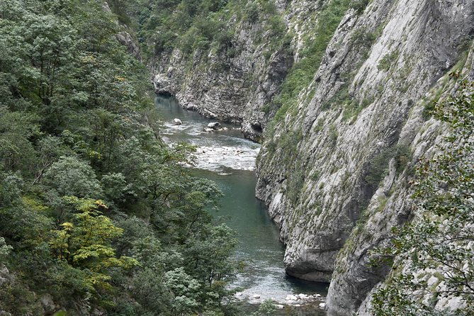 private-north-montenegro-tour-moraca-river-canyon-and-walk-trough-virgin-forest