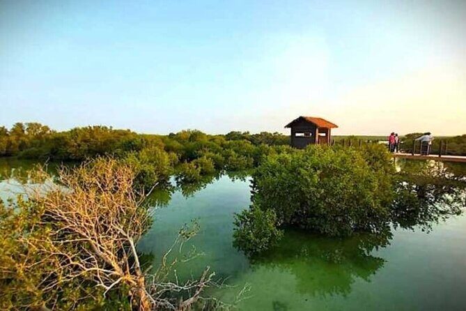 Private North of Qatar Tour - Practical Tips for Booking and Enjoying the Tour