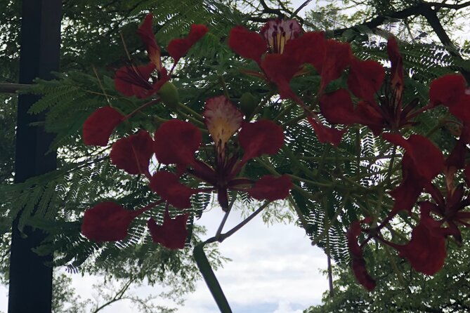 private-north-shore-tour-from-waikiki