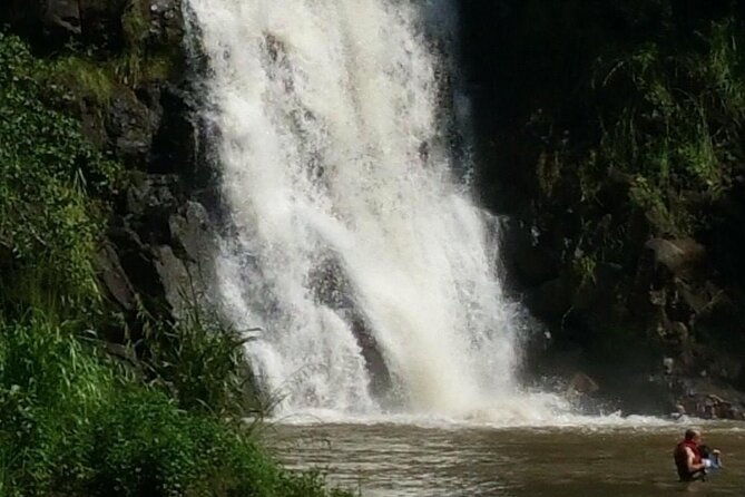 private-north-shore-waterfalls-and-turtles-tour