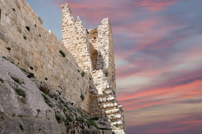 Private North Tour to Jerash, Ajloun, and Umm Qais from Amman - Who Should Consider This Tour?