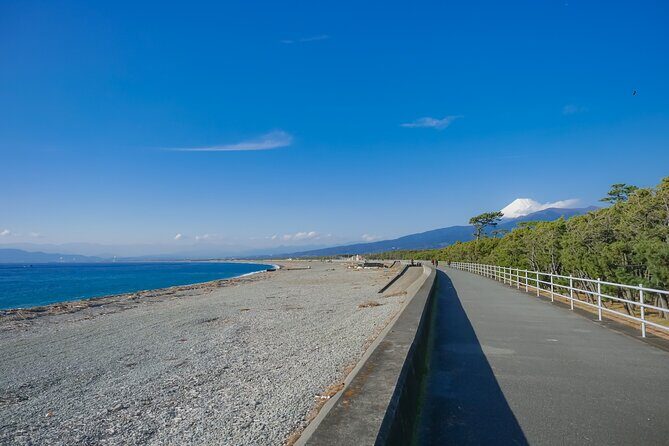 Private Numazu Tour with Lisenced Guide by Car - Who Is This Tour Best For?