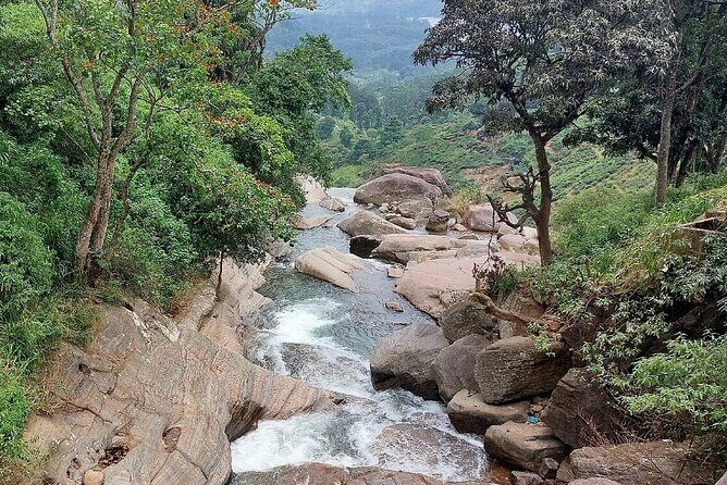 Private Nuwara Eliya City Tour Including Main Attractions - An In-Depth Look at the Private Nuwara Eliya Tour