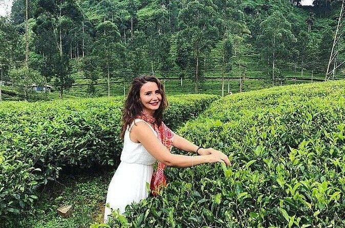 Private Nuwara Eliya City Tour Including Main Attractions - Who Will Love This Tour?