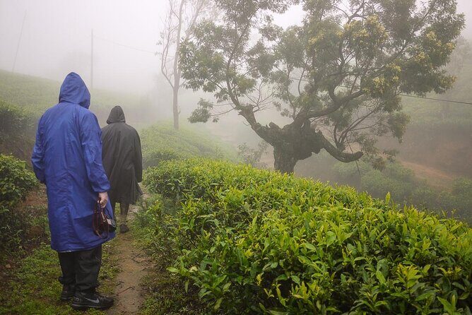 Private Nuwara Eliya Day Trip from Colombo  All Inclusive - Final Thoughts on Value and Experience