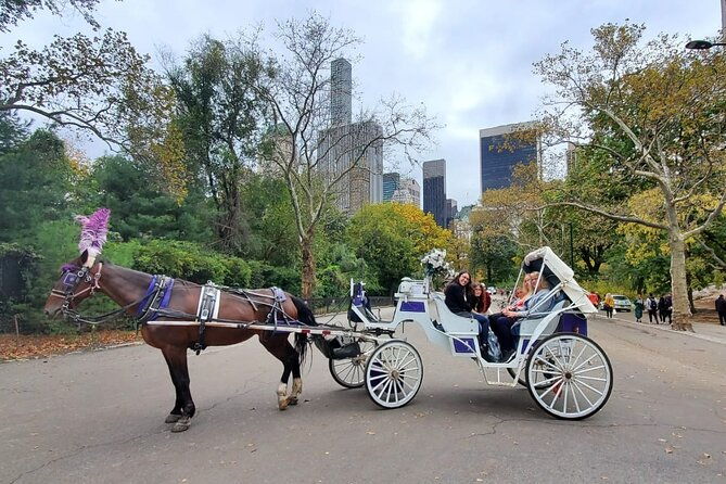 private-nyc-central-park-horse-carriage-ride-guided-since-1965