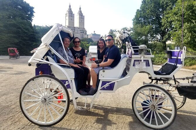 private-nyc-central-park-horse-carriage-ride-guided-since-1965
