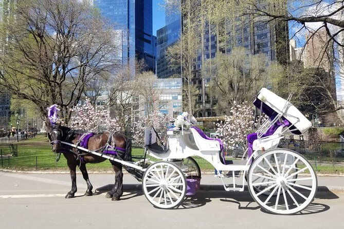 private-nyc-central-park-horse-carriage-ride-guided-since-1965