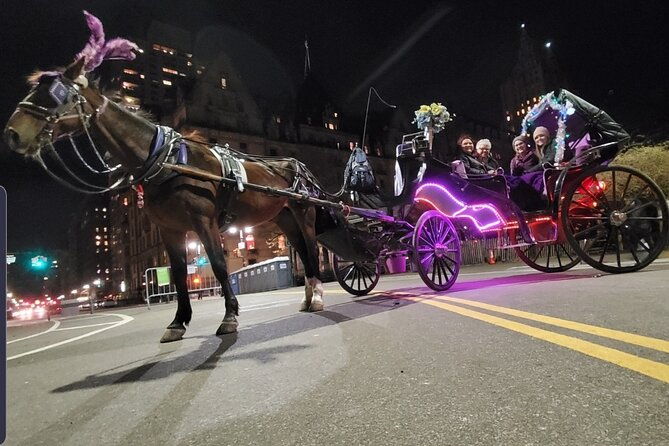 private-nyc-central-park-horse-carriage-ride-guided-since-1965
