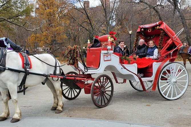 private-nyc-central-park-horse-carriage-ride-guided-since-1965