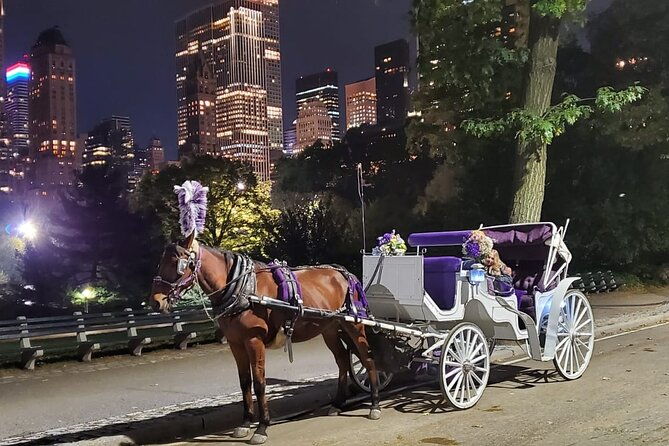 private-nyc-central-park-horse-carriage-ride-guided-since-1965