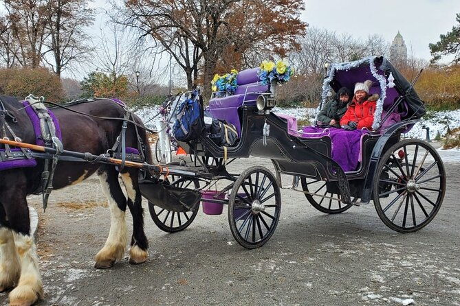 private-nyc-central-park-horse-carriage-ride-guided-since-1965