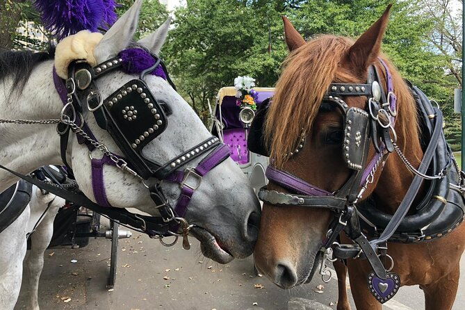 private-nyc-central-park-horse-carriage-ride-guided-since-1965