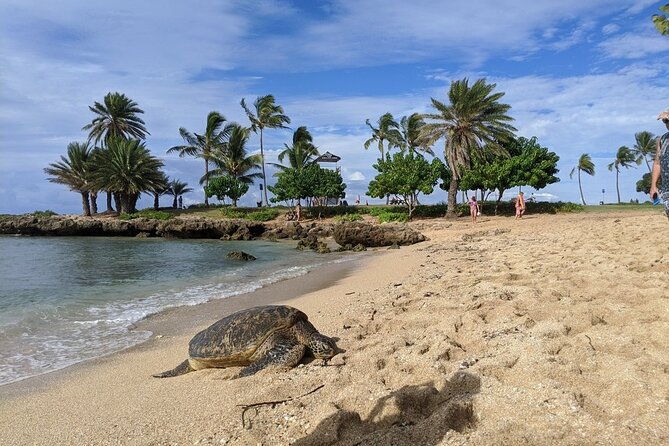 private-oahu-circle-island-tour