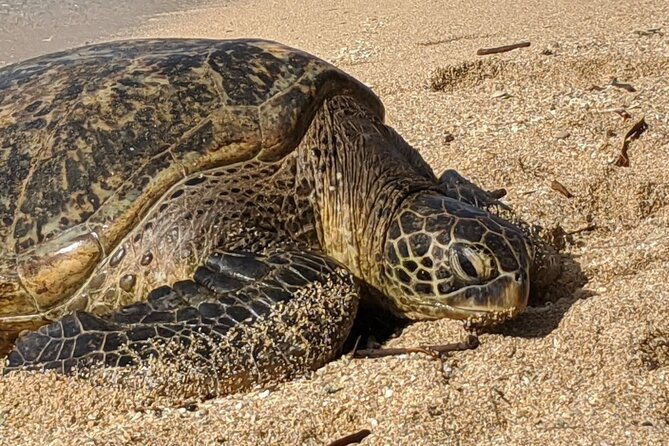private-oahu-circle-island-tour
