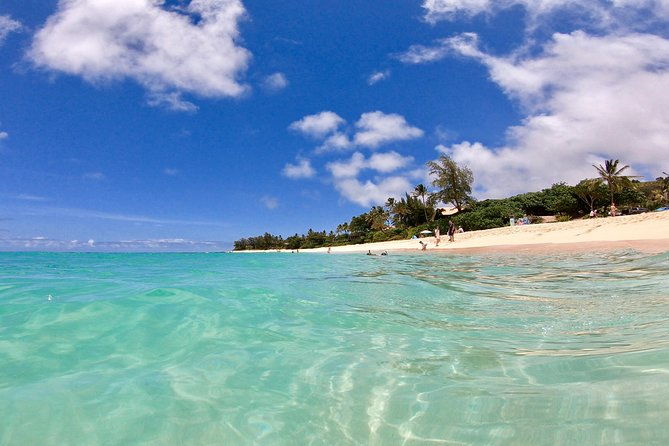 private-oahu-pearl-harbor-and-island-sightseeing-combination-tour