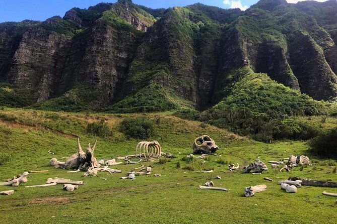 private-oahu-photo-tour