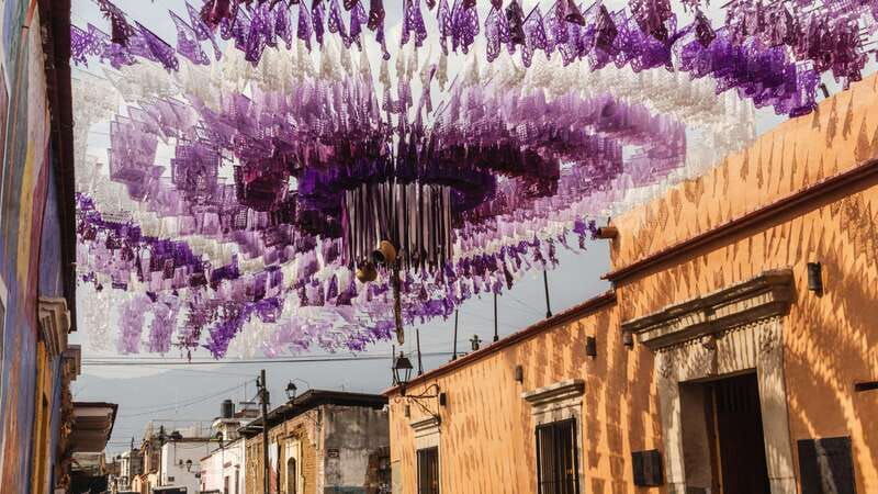 private-oaxaca-historic-tour-best-rated