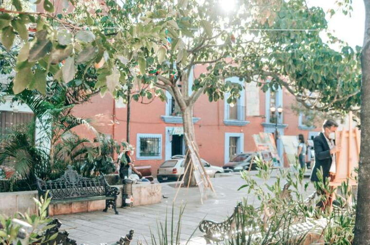private-oaxaca-historic-tour-best-rated