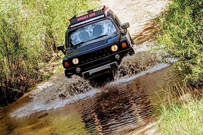 private-off-road-adventure-tours-in-the-prescott-national-forest