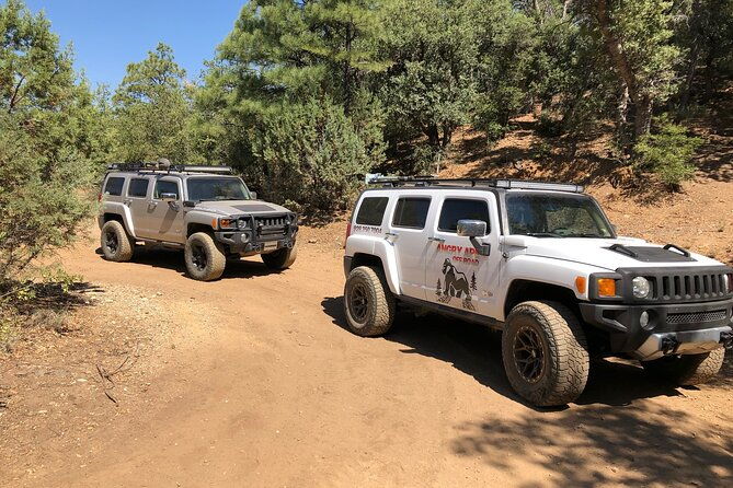 private-off-road-adventure-tours-in-the-prescott-national-forest