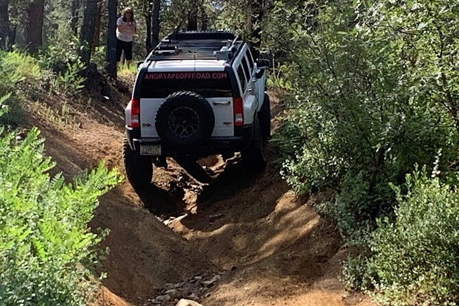 private-off-road-adventure-tours-in-the-prescott-national-forest