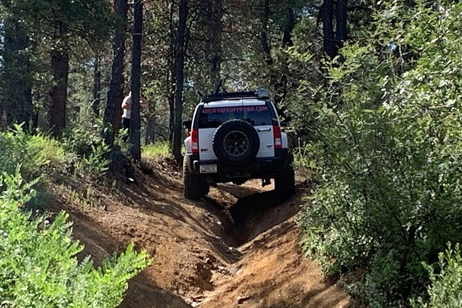 private-off-road-adventure-tours-in-the-prescott-national-forest