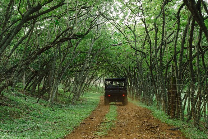 private-off-road-explorers-tour