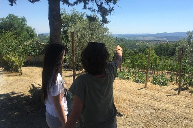 private-off-road-wine-tour-in-chianti-from-florence-2