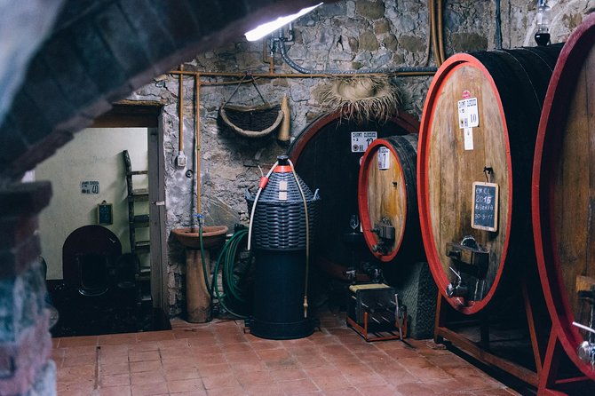 private-off-road-wine-tour-in-chianti-from-siena