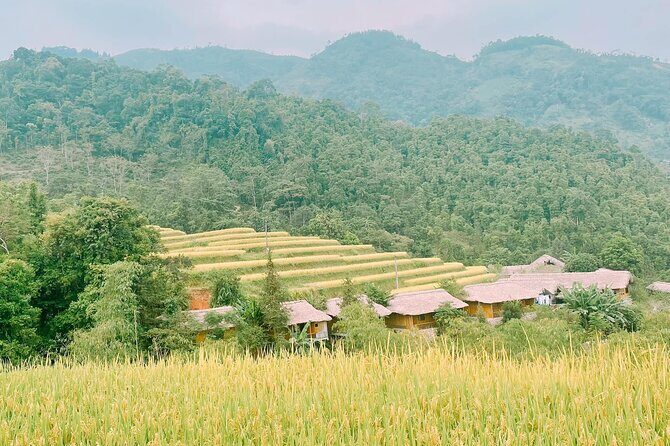 Private Off The Beaten Track Northeast Vietnam 7 Days Tour - A Deep Dive Into the Northeast Vietnam 7-Day Experience