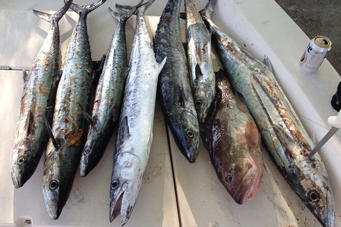 private-offshore-fishing-charter-in-the-gulf-of-mexico