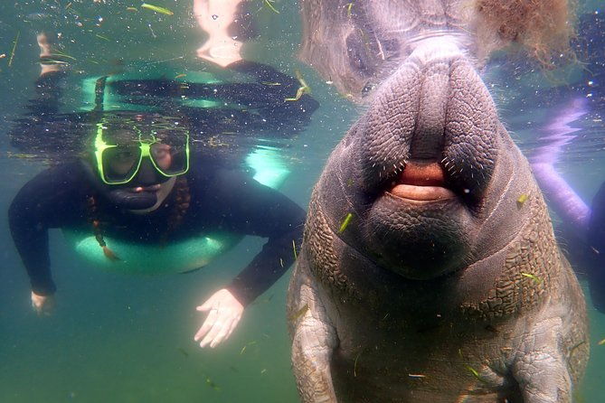 private-og-manatee-snorkel-tour-with-guide-for-up-to-10-people